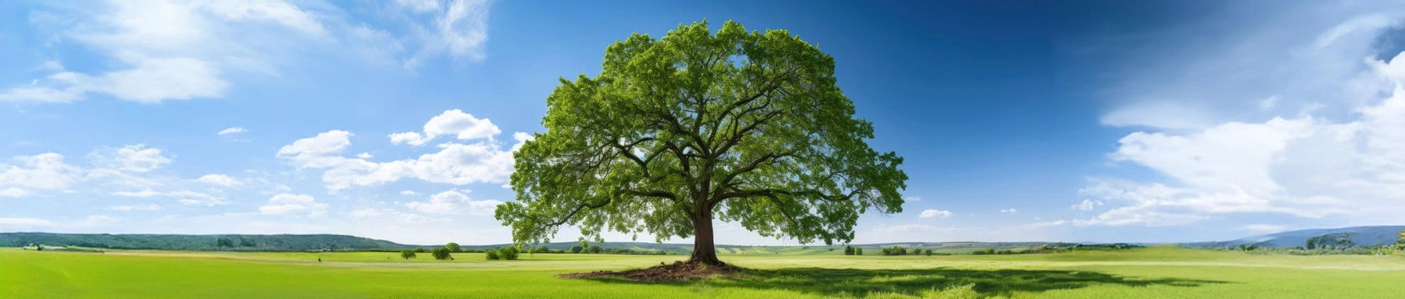 大阪開發建設 大阪開發建設